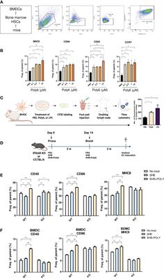 A hepatitis B virus-derived peptide combined with HBsAg exerts an anti-HBV effect in an HBV transgenic mouse model as a therapeutic vaccine